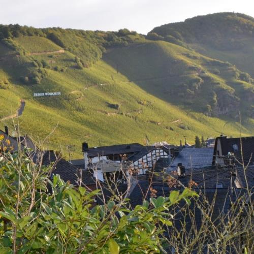 Weingut Erbes-Henn Hotel Urzig Bagian luar foto